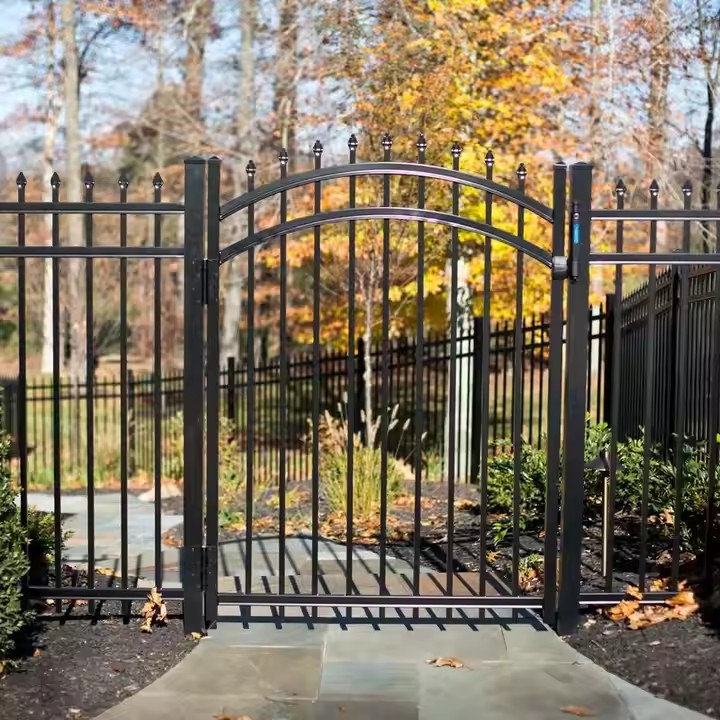 Decorative Gate